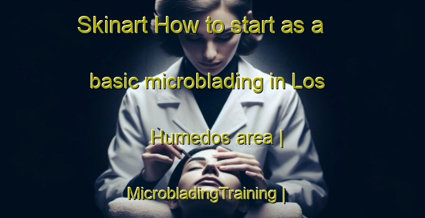 Skinart How to start as a basic microblading in Los Humedos area | MicrobladingTraining | MicrobladingClasses | SkinartTraining-Mexico